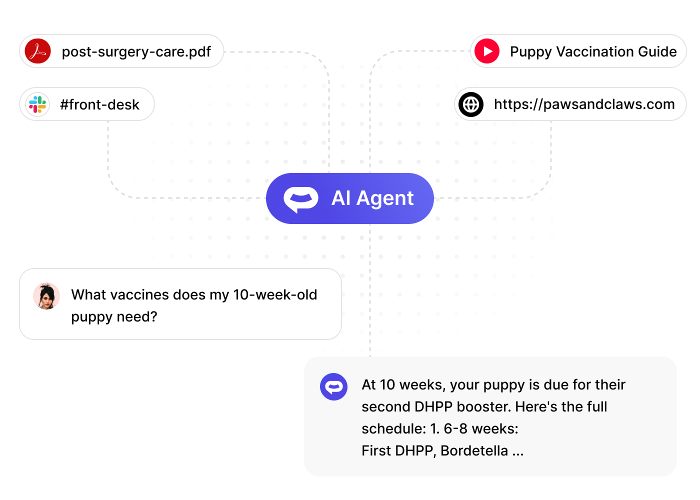 Train on veterinary clinic content